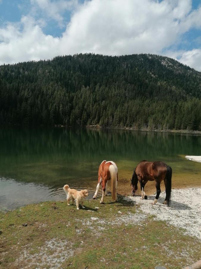 Zabljak_Vikendica Exterior foto
